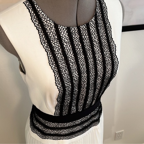 BCBG MaxAzria Sleeveless pleated-skirt lace-trim dress - Picture 7 of 10